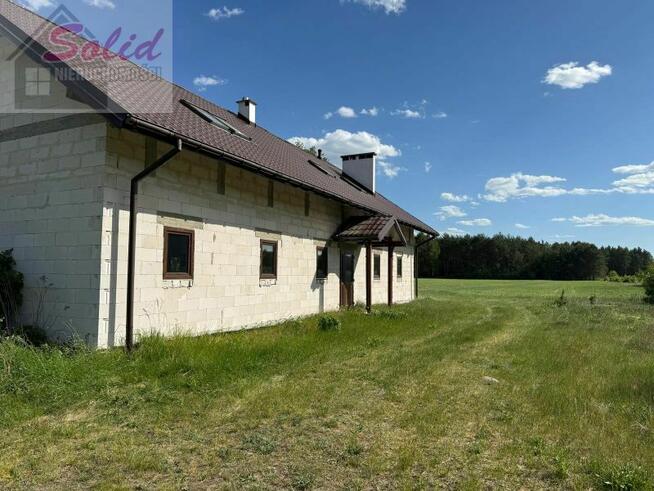 Siedlisko zatopione w zieleni drzew i 12 ha ziemi