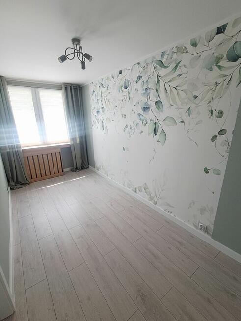 2 pokojowe mieszkanie, parter, po remoncie, os. Kaliniec