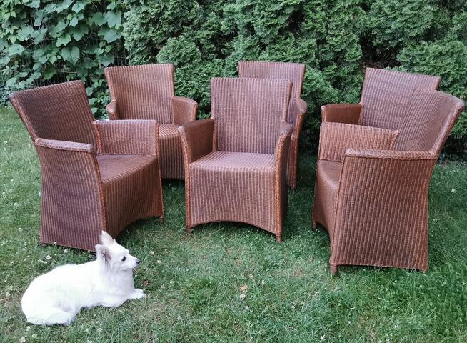 Krzesła do jadalni na taras Lloyd Loom Rattan 6 szt.