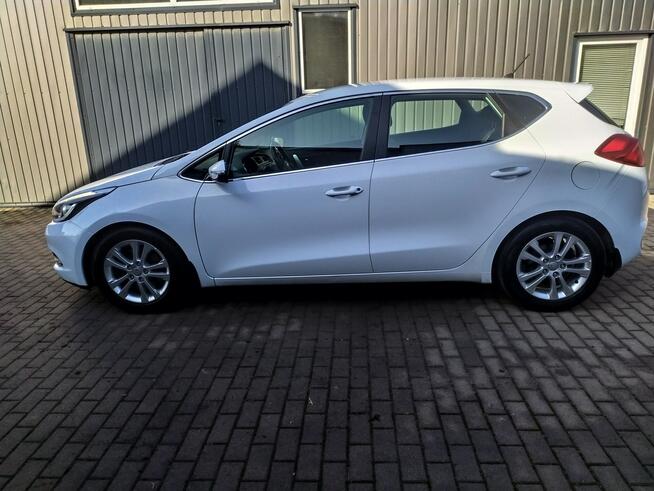 Kia Cee'd 1.6 Gdi Automat Ledy Grzane Fotele i Kierownica Zarejestrowany