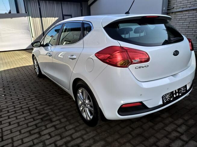 Kia Cee'd 1.6 Gdi Automat Ledy Grzane Fotele i Kierownica Zarejestrowany
