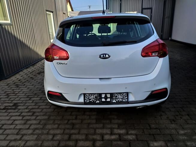 Kia Cee'd 1.6 Gdi Automat Ledy Grzane Fotele i Kierownica Zarejestrowany