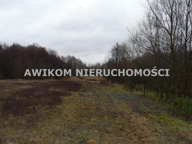 Działka rolna Skierniewice