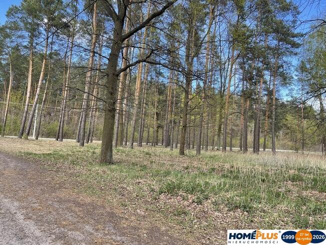 Działka bud. 1371 m² przy lesie, zielona okolica.