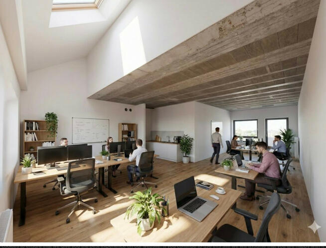 Piękny duży apartament w dworku/Krzyki/Wojszyce