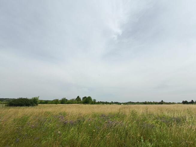 Działka budowlana Tąpkowice gm. Ożarowice, Brynicka
