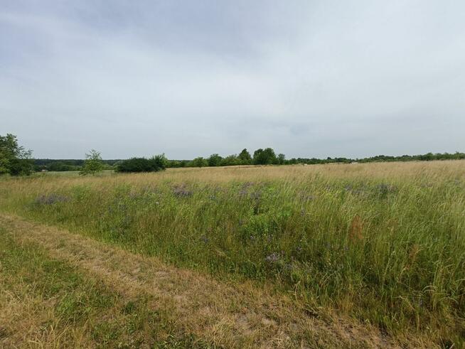 Działka budowlana Tąpkowice gm. Ożarowice, Brynicka