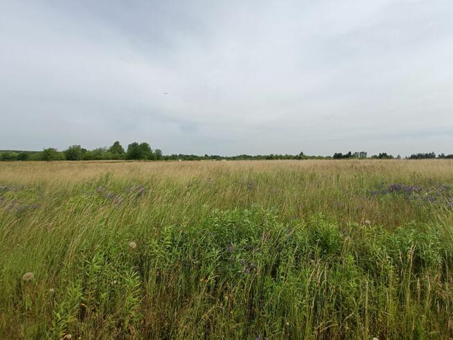 Działka budowlana Tąpkowice gm. Ożarowice, Brynicka