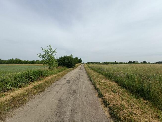 Działka budowlana Tąpkowice gm. Ożarowice, Brynicka
