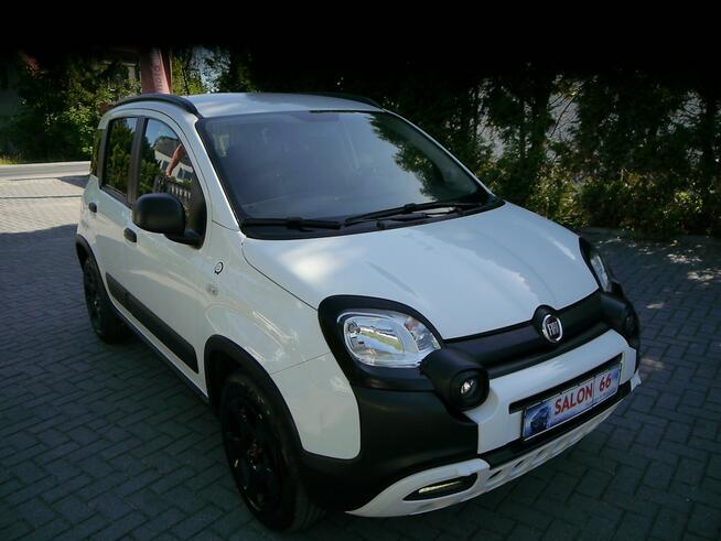 Fiat Panda Cross 1.3b Stan BDB 100%bezwypadkowy z Niemiec Gwarancja 12mc 1wł