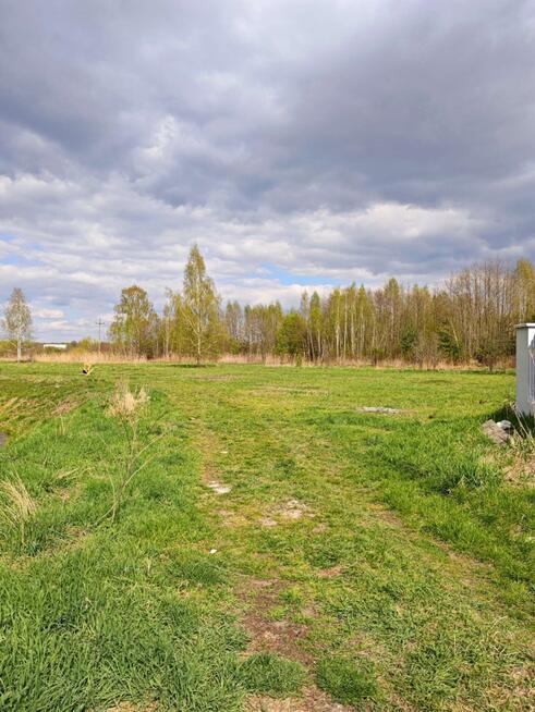 Działka 1078 m2 MPZP pod bliźniak Żabia Wola