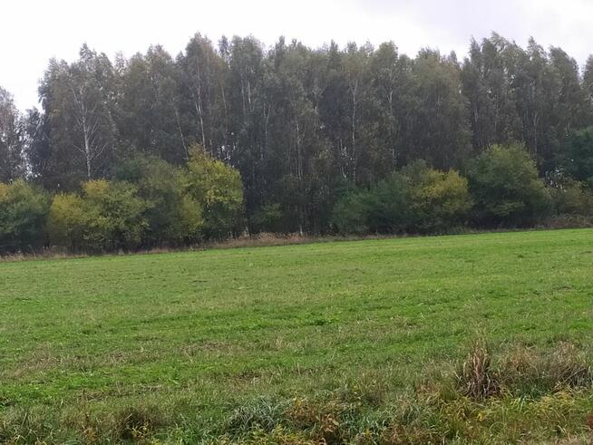 Działka budowlana MN-U w Kamionce