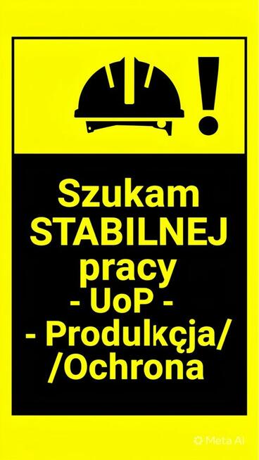 Szukam stałej pracy