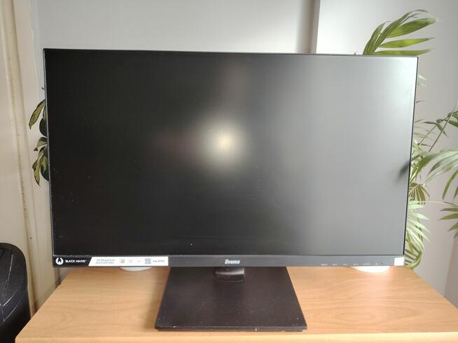 Sprzedam monitor 24.5 cala