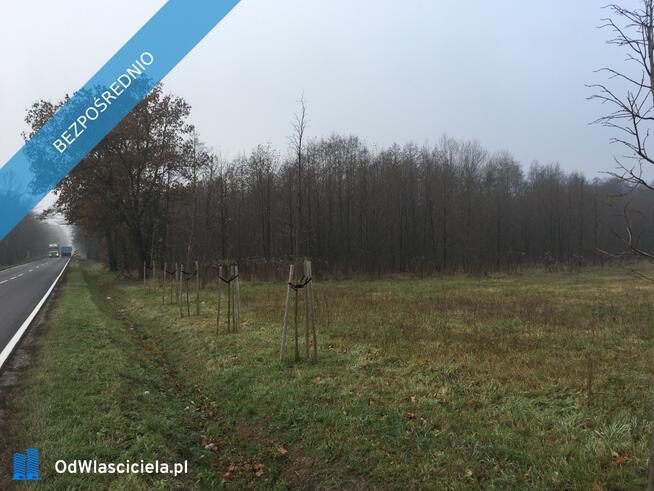 Działki budowlane 1ha oraz 2,13ha rolnych z prawem do zabudowy, MPZP, Choiny gm. Parysów