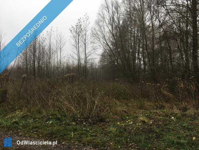 Działki budowlane 1ha oraz 2,13ha rolnych z prawem do zabudowy, MPZP, Choiny gm. Parysów