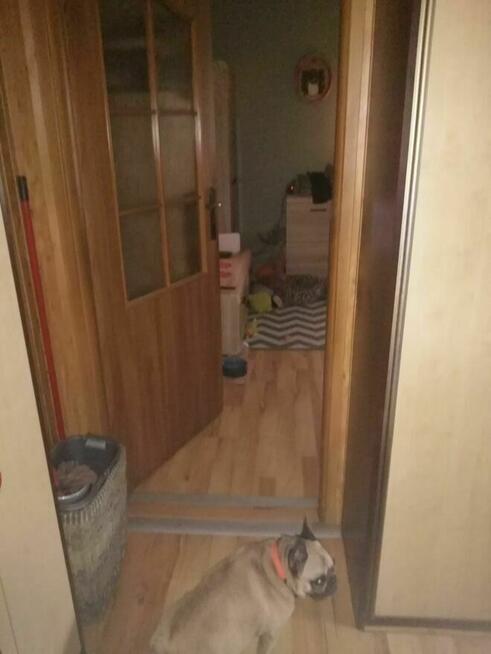 Zamienię mieszkanie komunalne