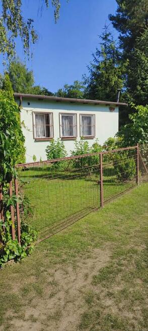 działka ROD ,,Międzylesie Poznań ul. Wrzesińska