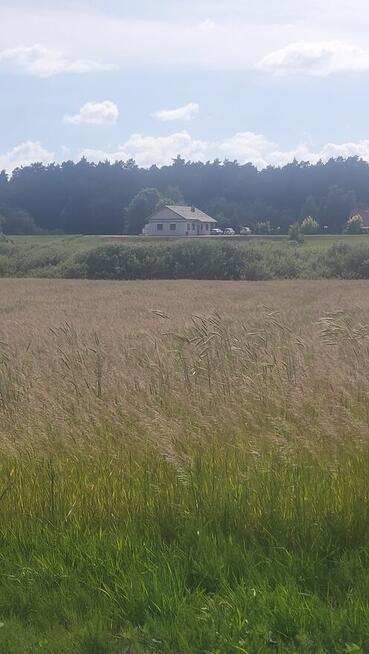Sprzedam działki inwestycyjne Koniecwałd