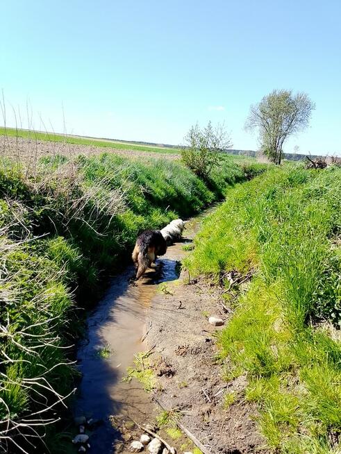 Pozna miło panią do wspólnych rozmów a może z biegiem więcej