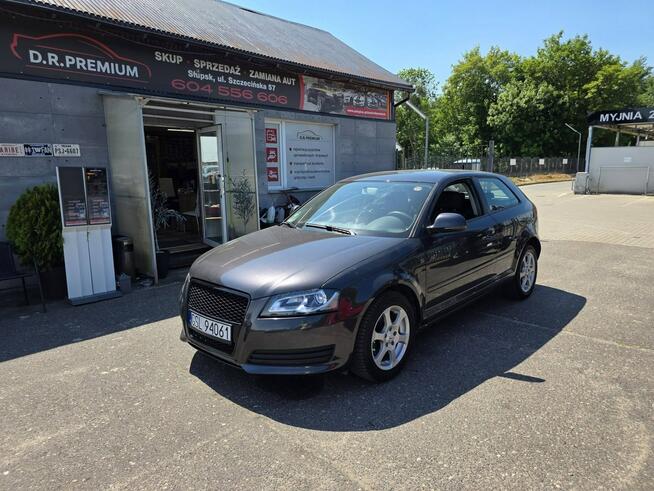 Audi A3 1.6 MPI 102 KM, Daylight LED, Xenon, Klimatyzacja, Aluflegi, Isofix