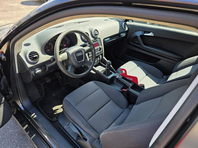 Audi A3 1.6 MPI 102 KM, Daylight LED, Xenon, Klimatyzacja, Aluflegi, Isofix