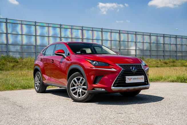 Lexus NX 300h AWD, 2.5 Hybrid, CVT, Salon PL, Bezwypadkowy, FVAT23%