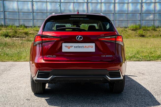 Lexus NX 300h AWD, 2.5 Hybrid, CVT, Salon PL, Bezwypadkowy, FVAT23%