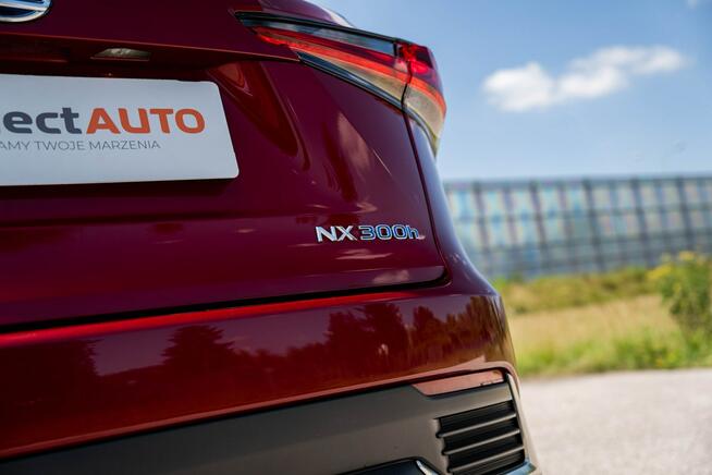 Lexus NX 300h AWD, 2.5 Hybrid, CVT, Salon PL, Bezwypadkowy, FVAT23%