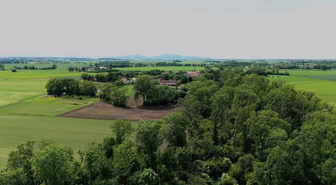 Brzoza| Działka z potencjałem | 10 km od Wrocławia
