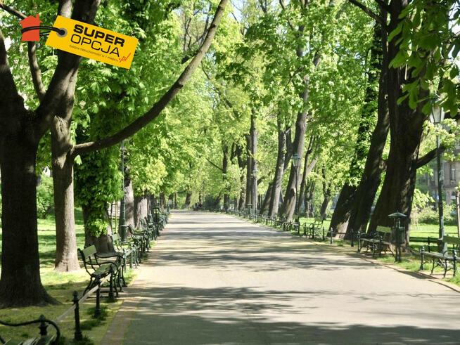 Lokal użytkowy Kraków gm. Kraków-Śródmieście, Karmelicka