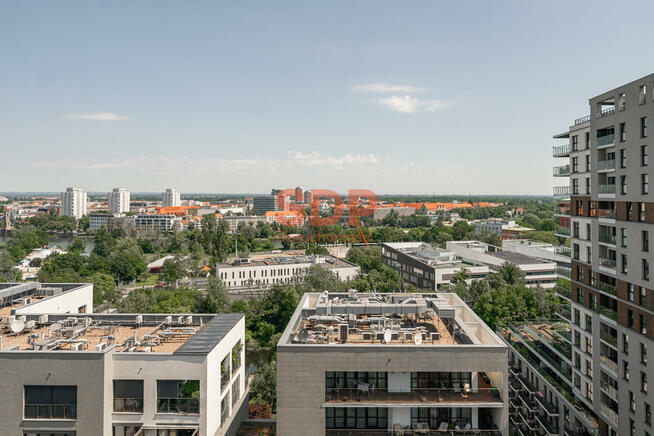 Mieszkanie Wrocław Stare Miasto, Stare Miasto, Walońska