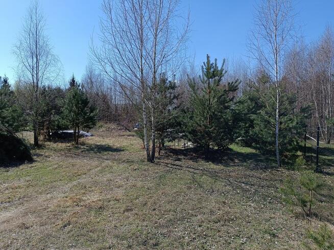 Działka rolno/rekreacyjna 1200 m2 Janowice ( Huta Janowska )
