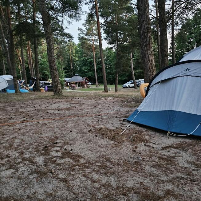Camping pod sosnami Okartowo- para pozna parę do przyjaźni