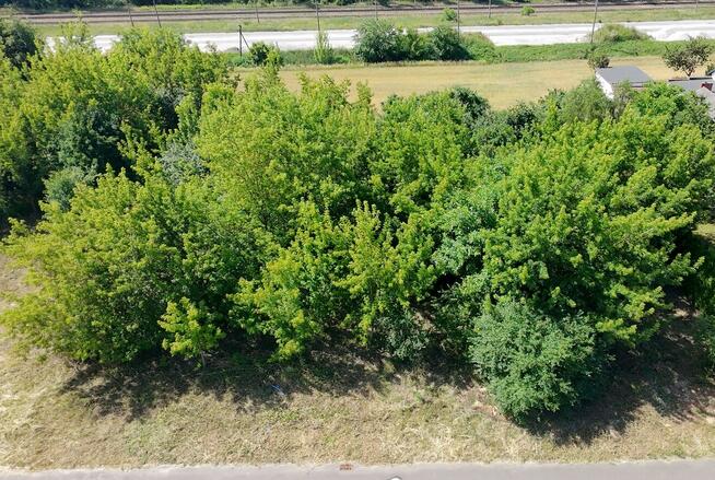 Działka budowlana 1000 m² w cichej okolicy