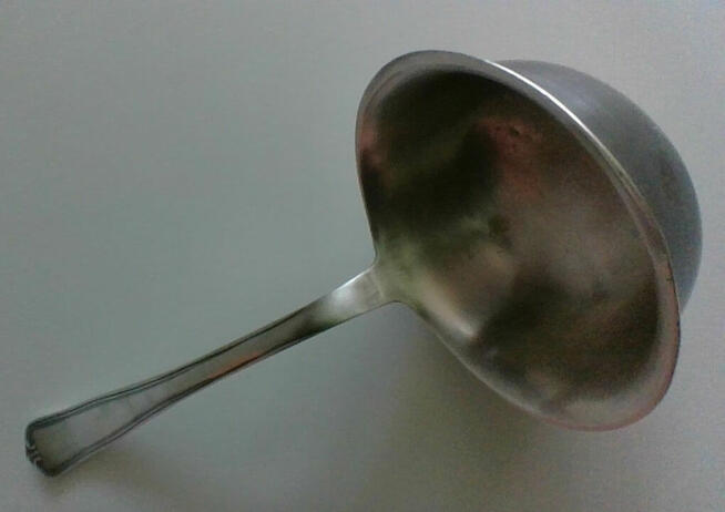 Srebrna chochla
