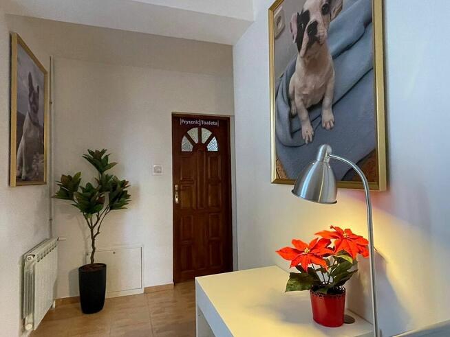 Nowy Hostel Warszawa Hostel Warszawa Włochy Mokotów! Хостел