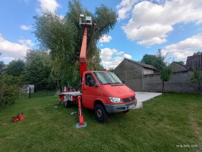 Usługi podnośnikiem koszowym