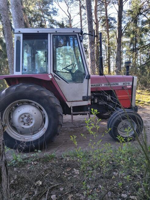 Massey Ferguson 675 Perkins mechaniczny idealny na eksport