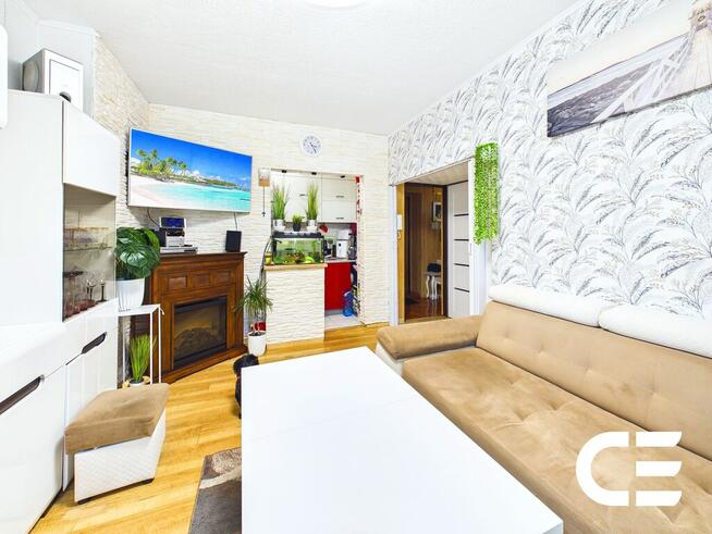 Mieszkanie w centrum | 41 m²-51 m²| Wysoki parter