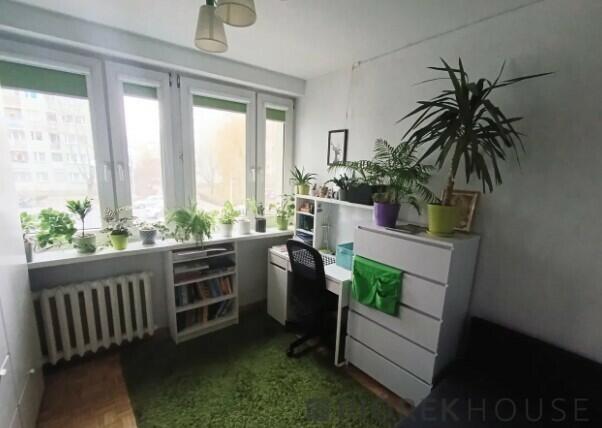 3-pokojowe mieszkanie w Śródmieściu