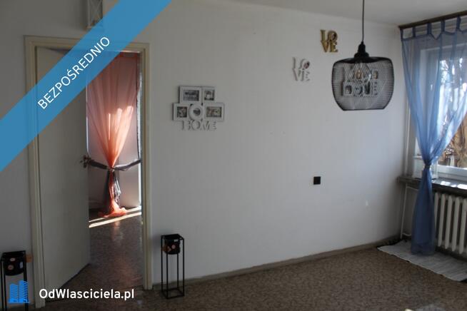 Obiekt komercyjny 240m² | 3 lokale/gabinety | Działka 40a | Pełna dokumentacja!