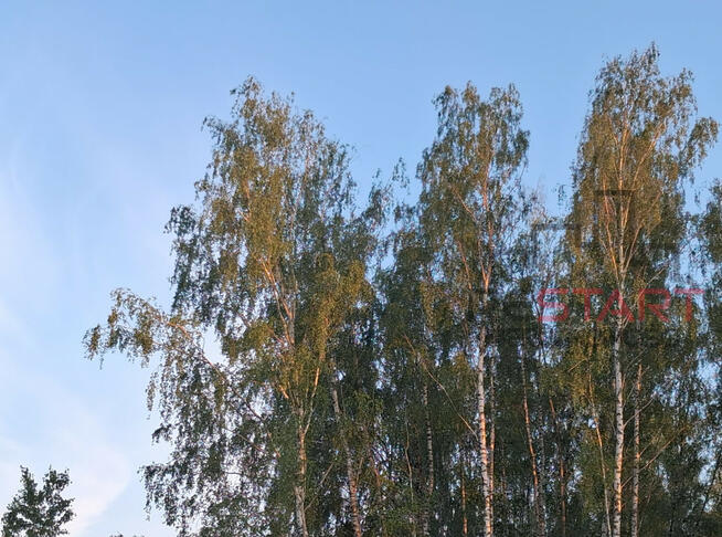 Działka budowlana Łazy gm. Lesznowola,