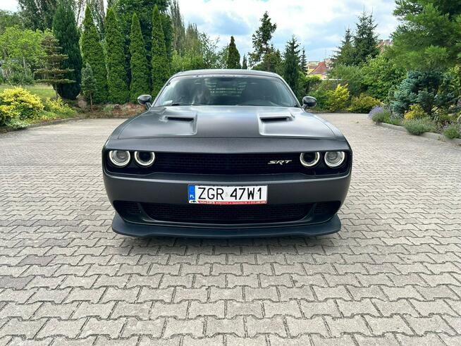 Dodge Challenger 3.6 V6 309KM | Pakiet wizualny SRT| Oklejony folią