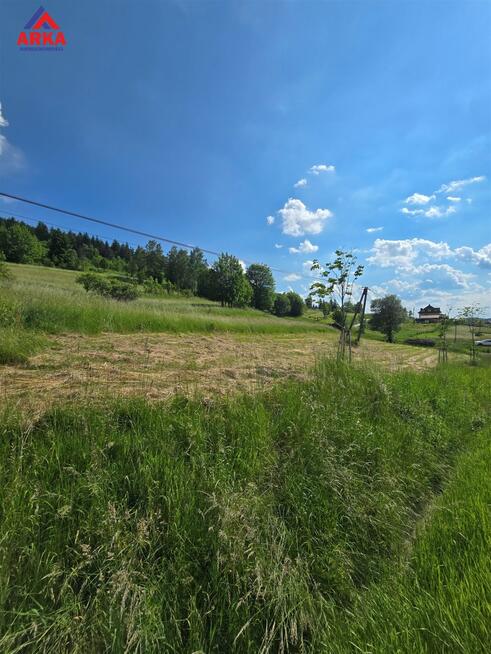 Działka rolna Kasina Wielka gm. Mszana Dolna