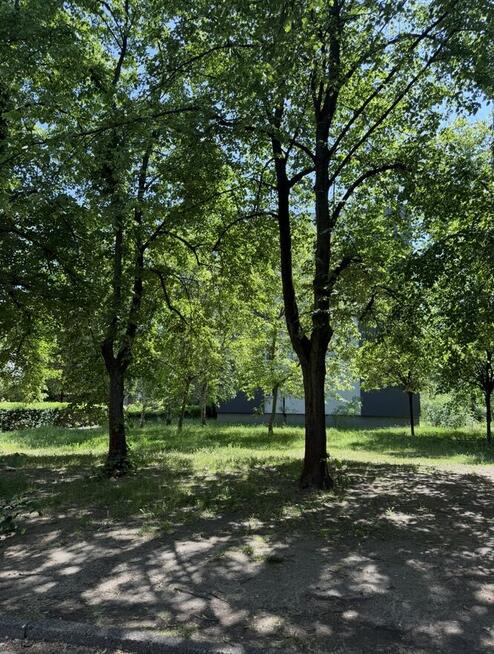 3 pokoje 48m2 | Zielona Sadyba | Gotowe do zamieszkania