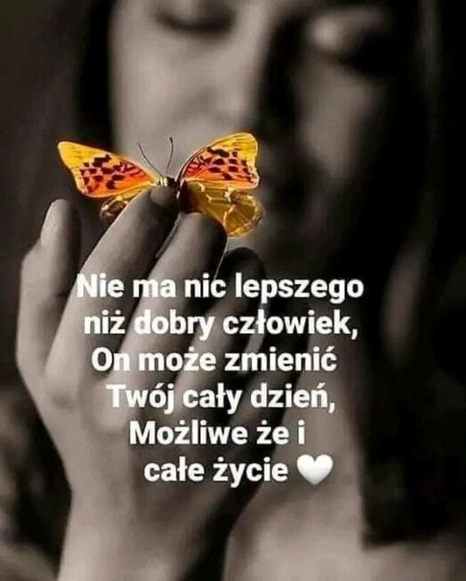 Przyjaciel i partner w jednej osobie