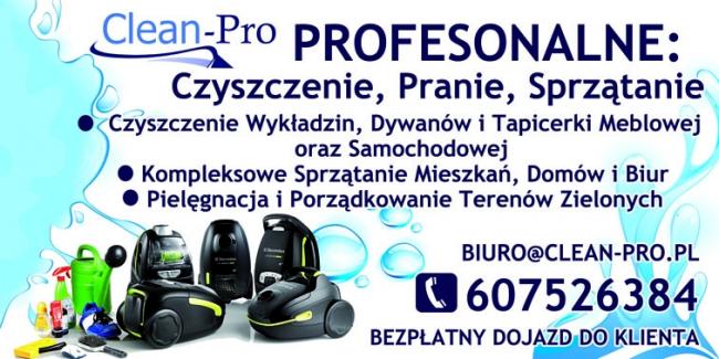 Czyszczenie dywanów, wykładzin, tapicerki meblowej i sam.