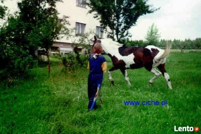 Dla dzieci agroturystyka ze zwierzętami Polski Bon Turystyc