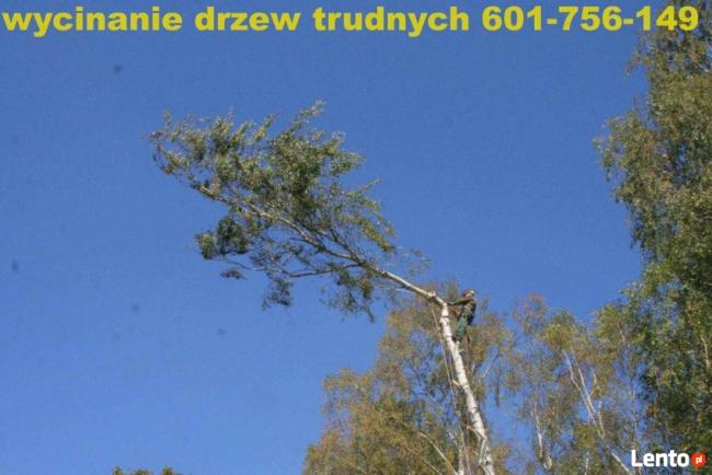 wycinanie drzew arborystyka 505-933-515 sląskie
